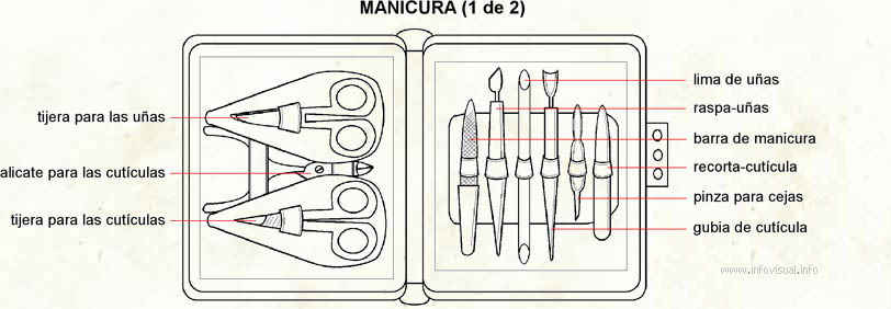 Manicura (Diccionario visual)